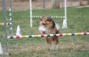 Tully jumping.jpg