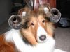 Bad Hair cuts.jpg