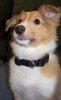Whiskey 2-13-2010 006.jpg