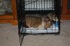 DSC_6356.jpg