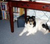 DSCN0381.jpg