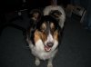 DSCN0375.jpg