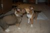DSC_6377.jpg
