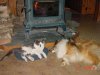 DSC01583.jpg