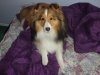 DSC02376.jpg
