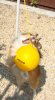 tetherball 7.5.10.jpg