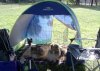 agility tent.jpg