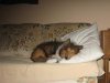 IMG_0076.jpg