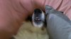 IMAG0087.jpg