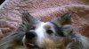 IMAG0112.jpg