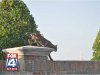 bobcat-mckinney_20100823130814_640_480.jpg