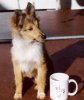 Everettcup6.jpg