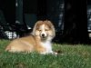 100_0429.jpg