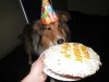 IMG_1141_1_1.jpg