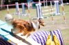 20110417_114935_0284.jpg