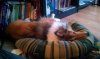 IMAG0164.jpg