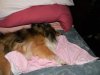 DSCN1357.jpg