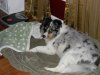DSCN1367.jpg
