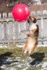 Catch.jpg