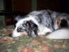 tessa 2006 (1).jpg