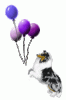 eec26ad4315a7a6003cbf70b943e05a4cb4906b3.gif