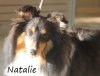 Natalie at the vet..jpg