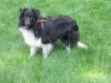 spring 2012 079.jpg