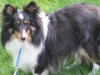 spring 2012 070.jpg