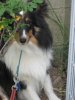 spring 2012 074.jpg