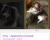 ozzy.jpg