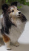 2019-01-02_15-00-38.jpg