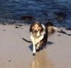 Gavin at the beach crop.jpg