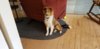 20190801_113358.jpg
