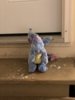 FFE6F9C5-4AF2-4CBC-A002-9344E48A93D3.jpeg FFE6F9C5-4AF2-4CBC-A002-9344E48A93D3.jpeg