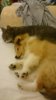 DSC_2157.JPG DSC_2157.JPG