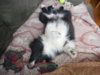 DSCN0426.jpg