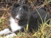 DSCN0822.JPG