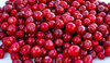 upload_2020-6-19_17-29-12.jpeg
