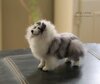 feltie.jpg feltie.jpg