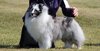 IMG_0081.jpg IMG_0081.jpg