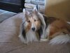 IMG_0658.jpeg