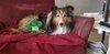 20201209_105033.jpg