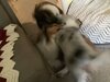 0CB20883-F83F-4107-B171-DB365377FA9A.jpeg