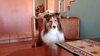 fillion9thbirthday2.jpg