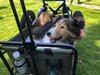 IMG_8318.jpg