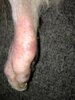 IMG_8373.jpg