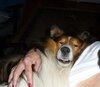 Kokolapsleeping.jpg