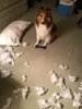 Pillow.jpg