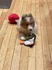 IMG_3250.jpeg