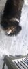 71FC195A-70F9-4FFA-9FFD-12786202197A.jpeg